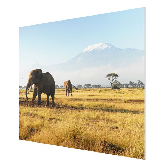 Cuadros de paisajes naturales  Elephants In Front Of The Kilimanjaro In Kenya