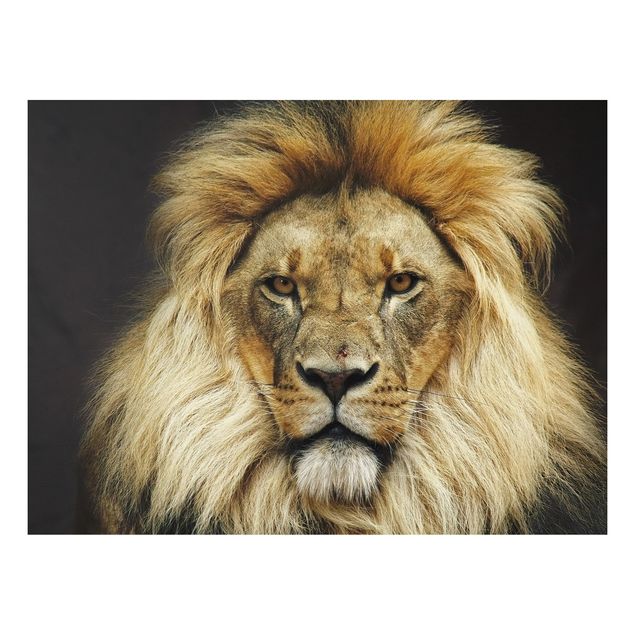 Cuadros modernos Wisdom Of Lion