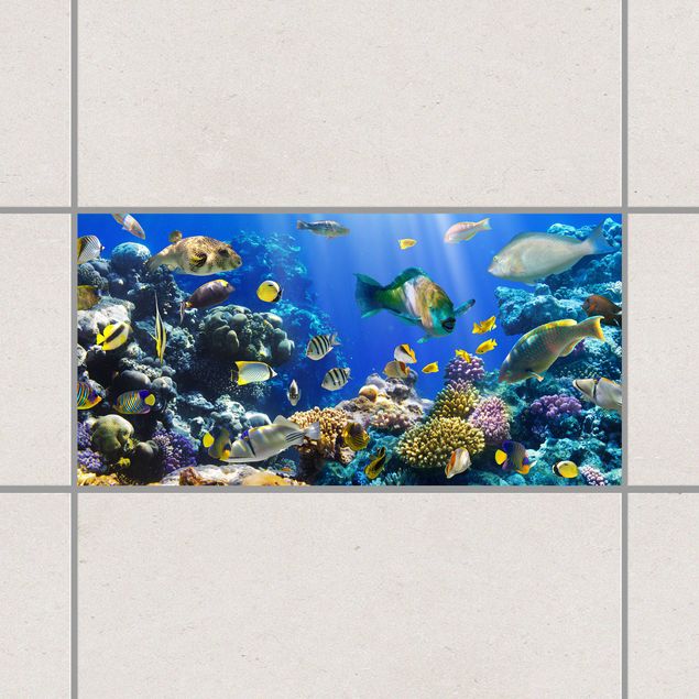 Decoración en la cocina Underwater Reef