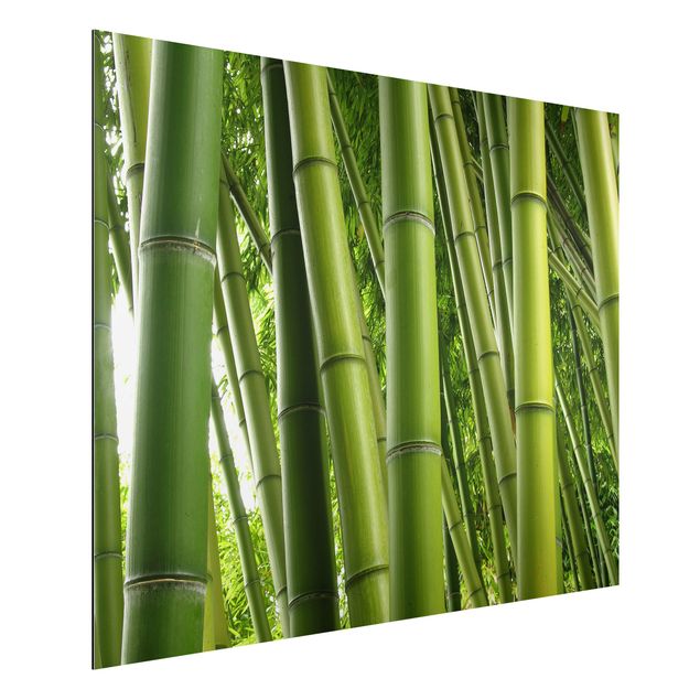 Decoración de cocinas Bamboo Trees No.1