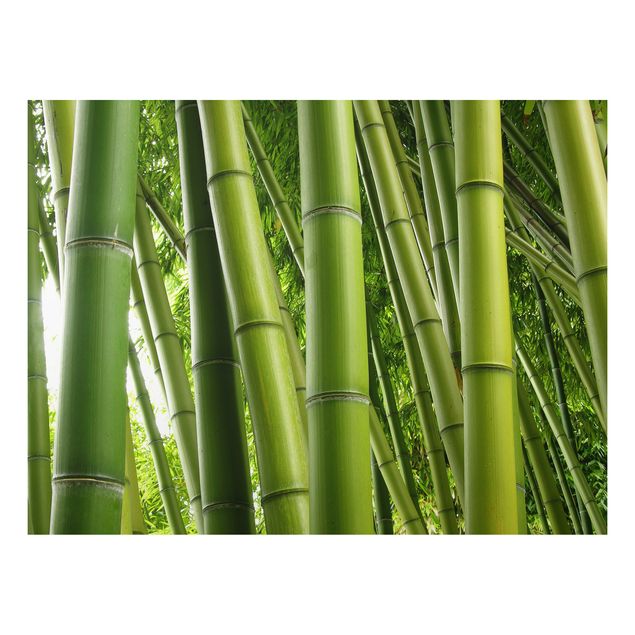 Cuadros de árboles Bamboo Trees No.1