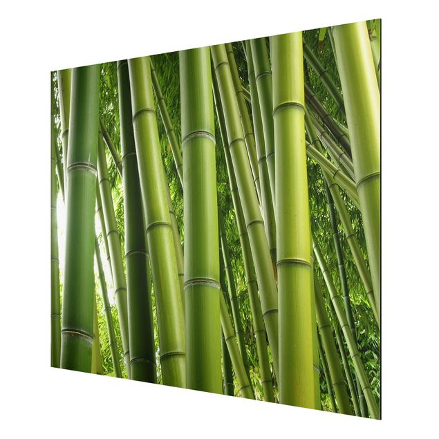 Cuadros de bambú Bamboo Trees No.1