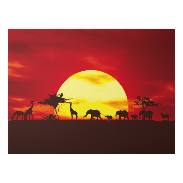 Cuadro elefante colores No.CG80 Sunset Caravan