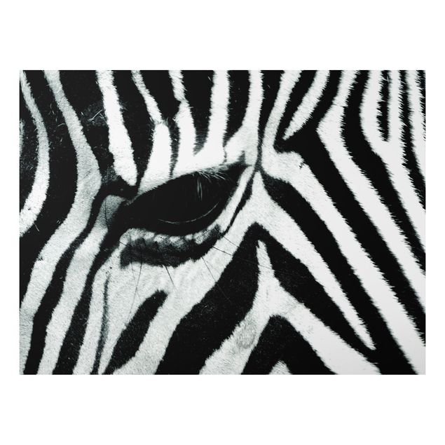 Cuadros de cebras Zebra Crossing No.2
