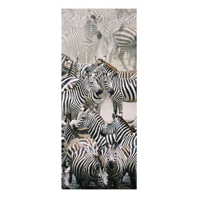 Cuadros de cebras Zebra Herd