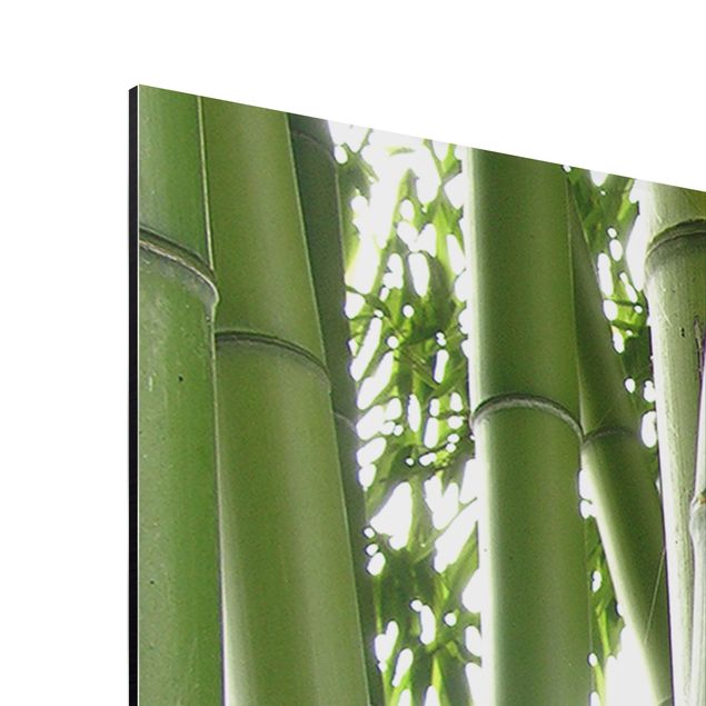 Cuadros naturaleza Bamboo Trees No.1