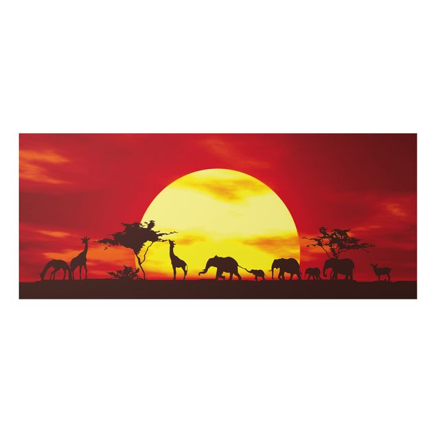 Cuadro elefante colores No.CG80 Sunset Caravan