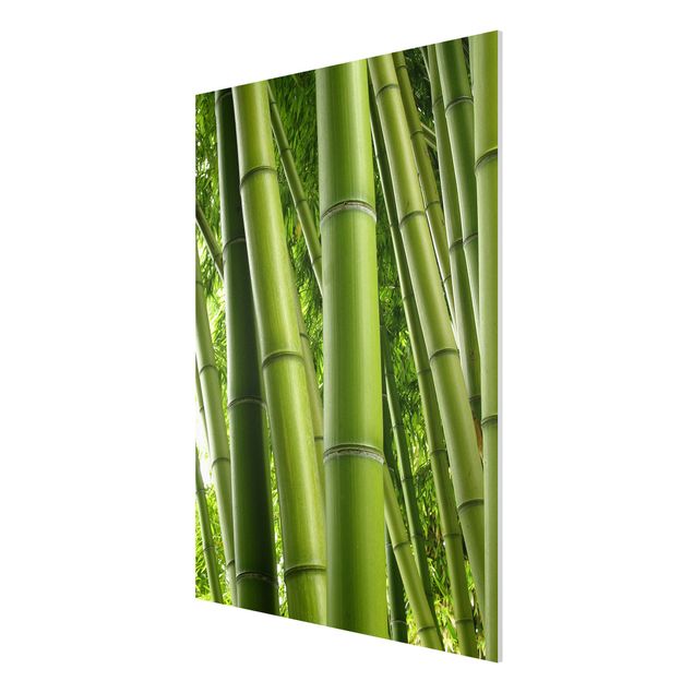 Cuadros cañas de bambú Bamboo Trees No.1