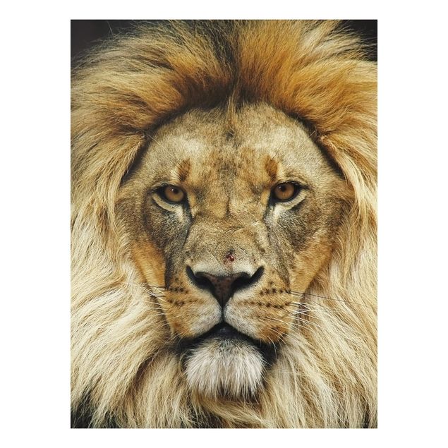 Cuadros leones Wisdom Of Lion