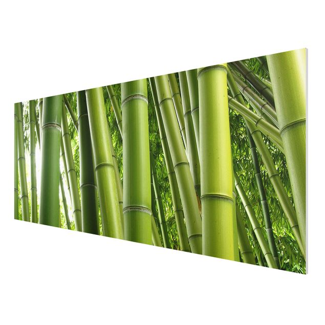 Cuadros cañas de bambú Bamboo Trees No.1
