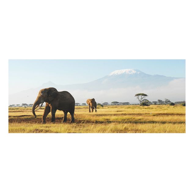 Decoración en la cocina Elephants In Front Of The Kilimanjaro In Kenya