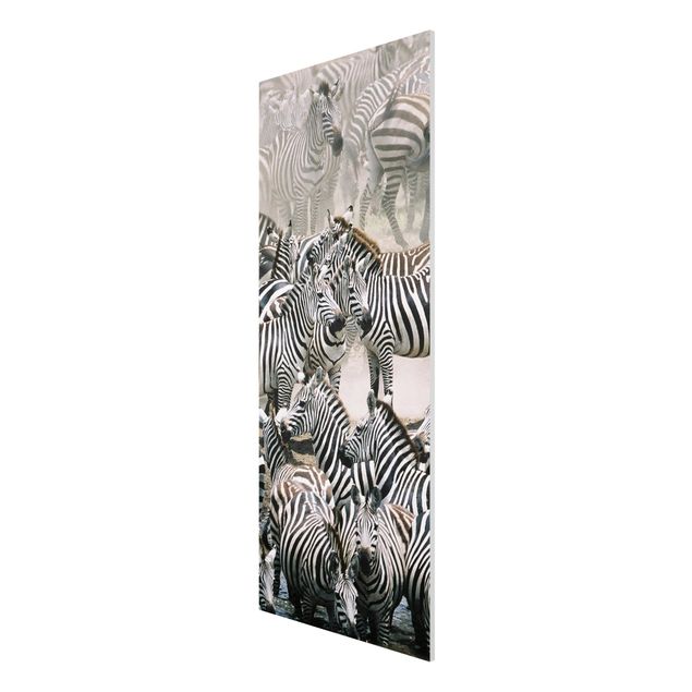 Cuadros africanos modernos Zebra Herd