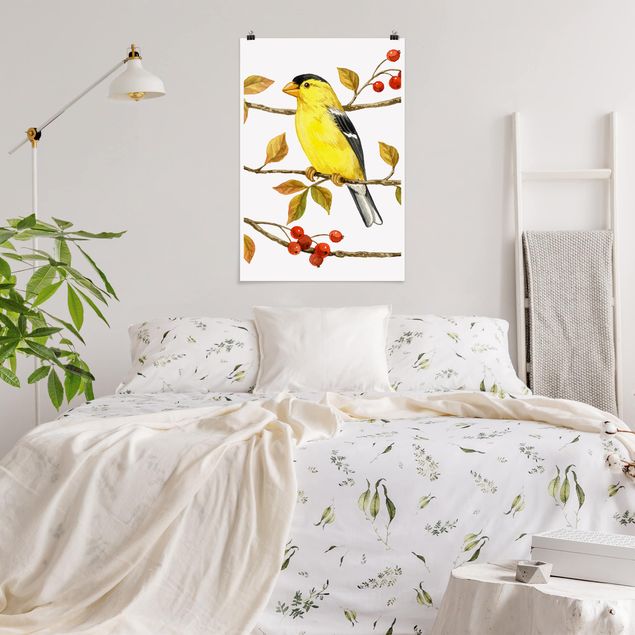 Póster vintage  Birds And Berries - American Goldfinch