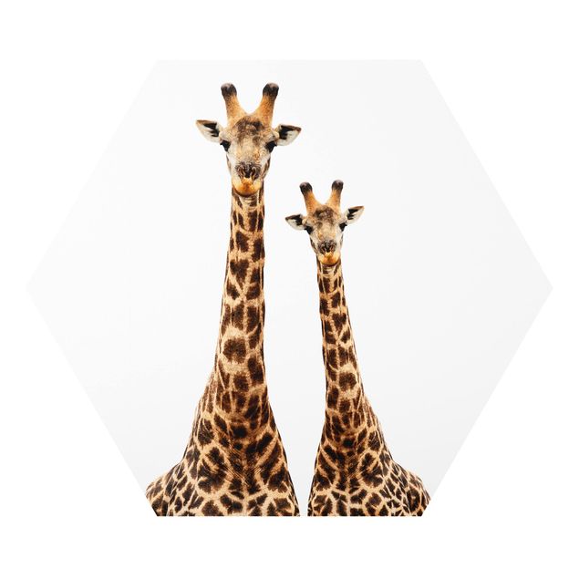 Cuadros decorativos Portait Of Two Giraffes
