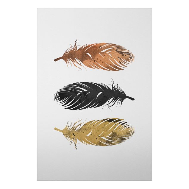 Cuadros con plumas Feathers