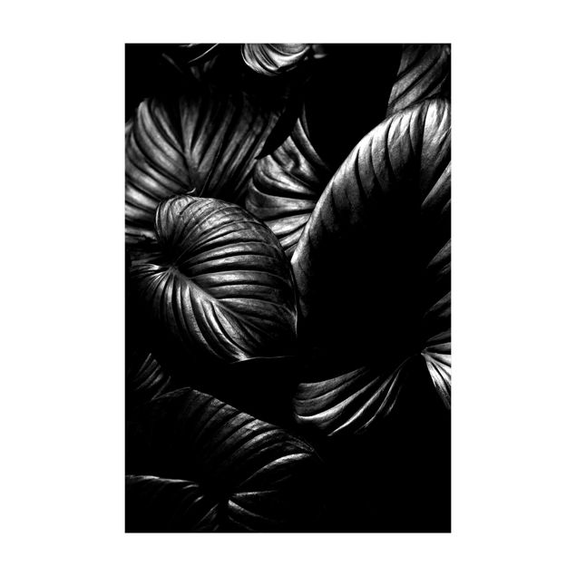 Alfombra blanco y negro Black And White Botany Hosta
