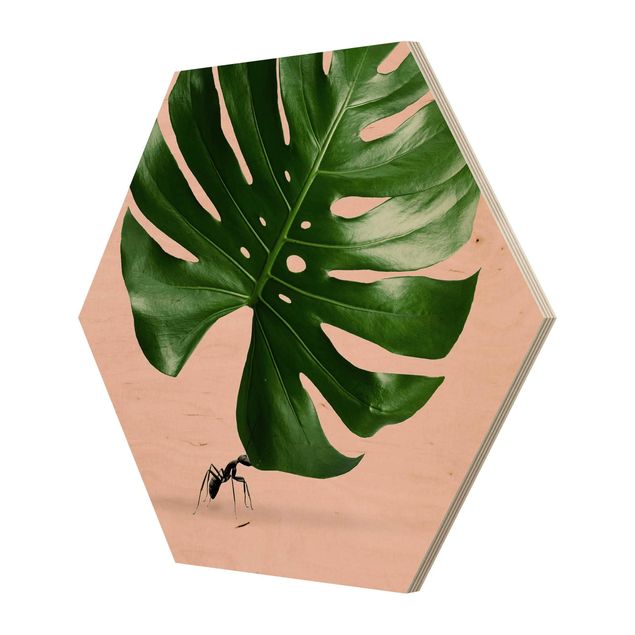 cuadro hexagonal Ant With Monstera Leaf