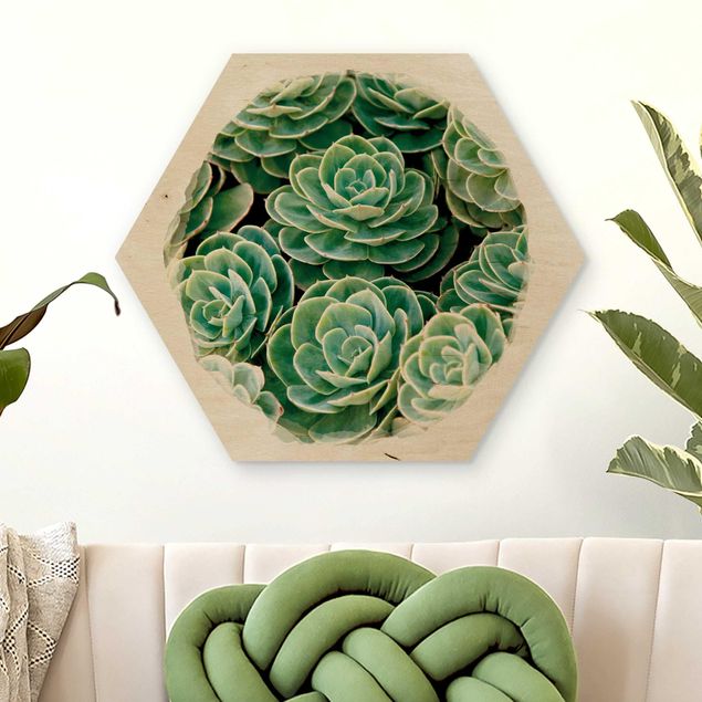 Decoración en la cocina Water Colours - Green Succulents