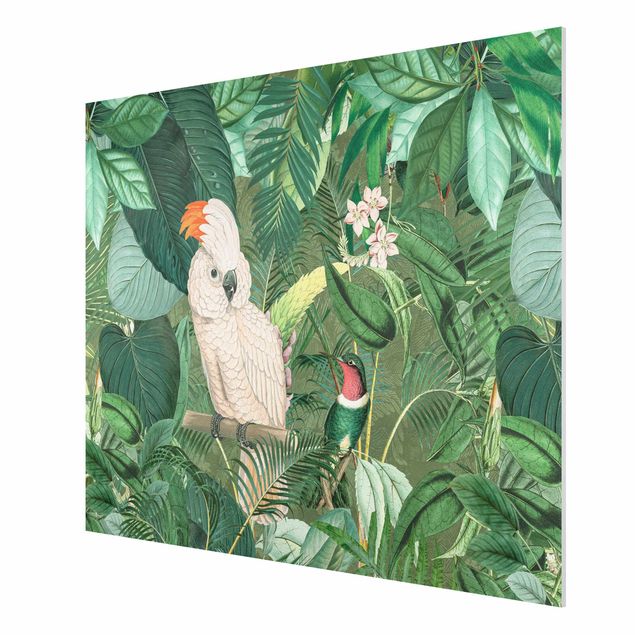 Cuadros flores Vintage Collage - Kakadu And Hummingbird