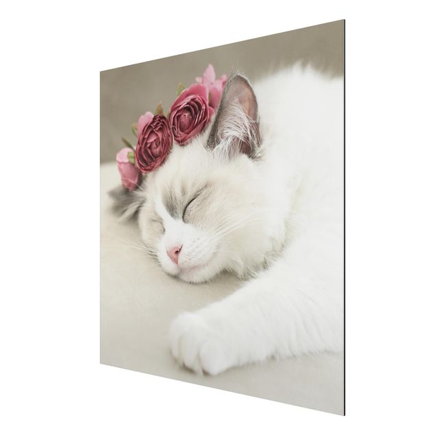 Cuadros de plantas naturales Sleeping Cat with Roses