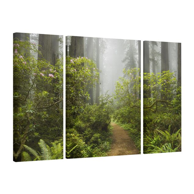 Lienzos paisajes naturales Misty Forest Path