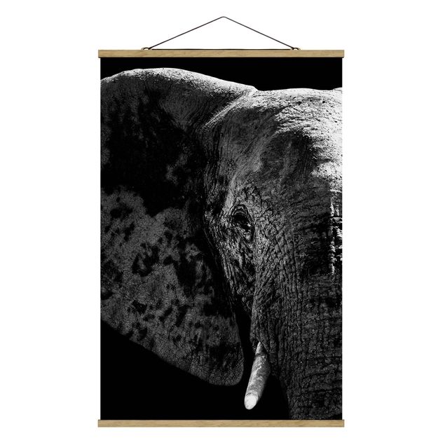 Cuadros decorativos modernos African Elephant black and white