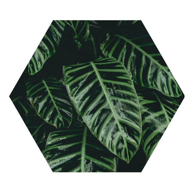 Hexagon Bild Holz - Tropische Pflanzen IV