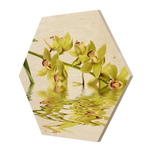 Hexagon Bild Holz - Elegant Orchid Waters