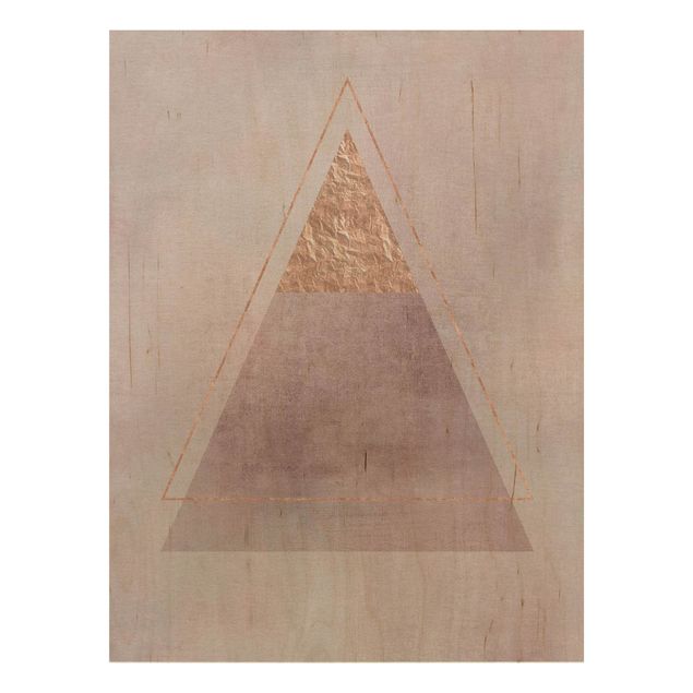 Cuadros Haase Geometry In Pink And Gold II