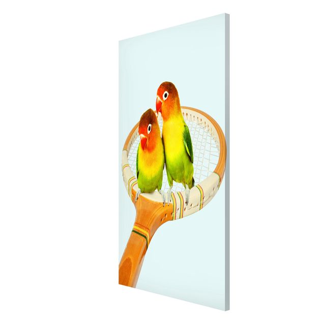 Tableros magnéticos animales Tennis With Birds