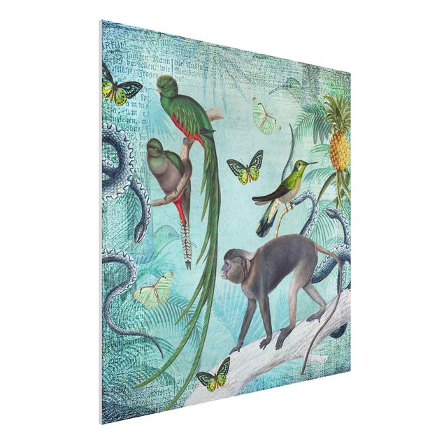 Cuadro monos Colonial Style Collage - Monkeys And Birds Of Paradise