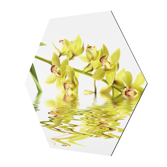 Cuadros Elegant Orchid Waters