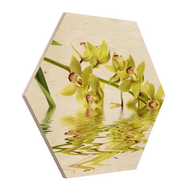 Cuadros hexagonales Elegant Orchid Waters