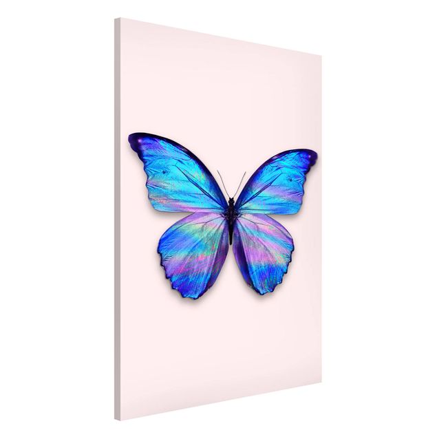 Cuadros peces Holographic Butterfly