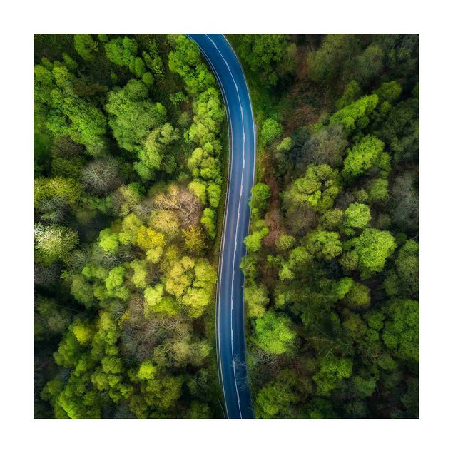 Alfombra con calles Aerial Image - Paved Road In the Forest