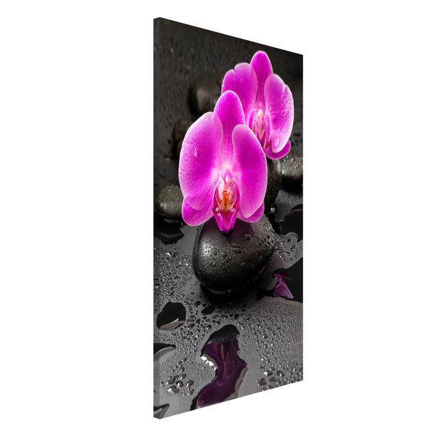 Cuadros con orquideas Pink Orchid Flower On Stones With Drops