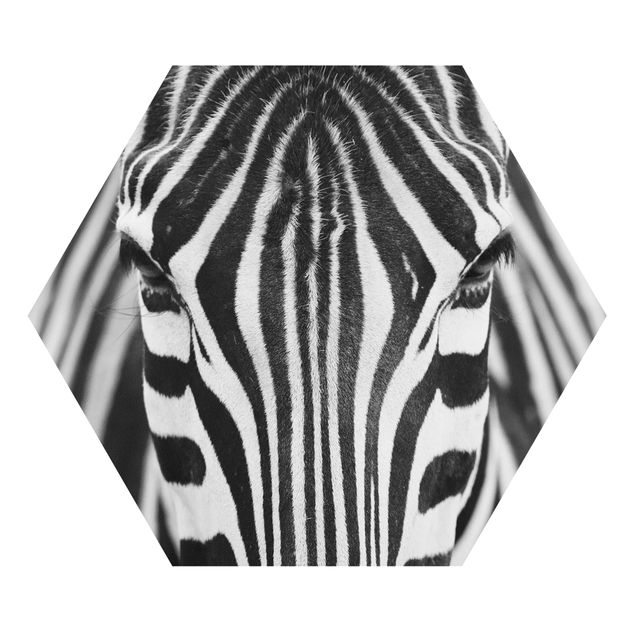 Cuadros decorativos modernos Zebra Look