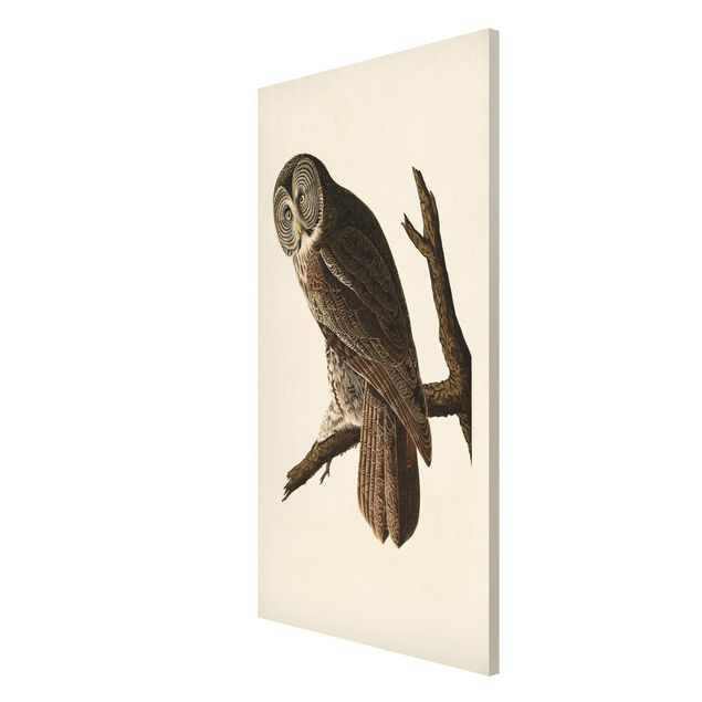 Cuadros retro Vintage Board Great Owl