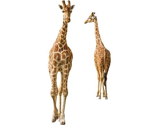 Vinilos para cristales animales Two Giraffes