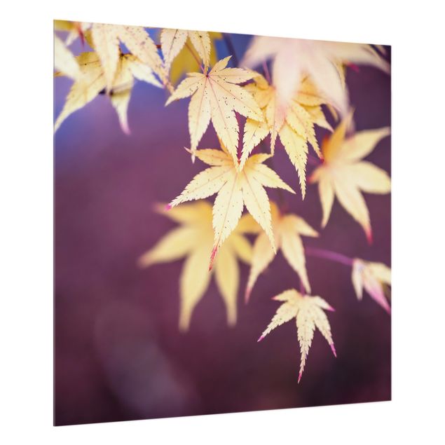 panel-antisalpicaduras-cocina Autumn Maple Tree