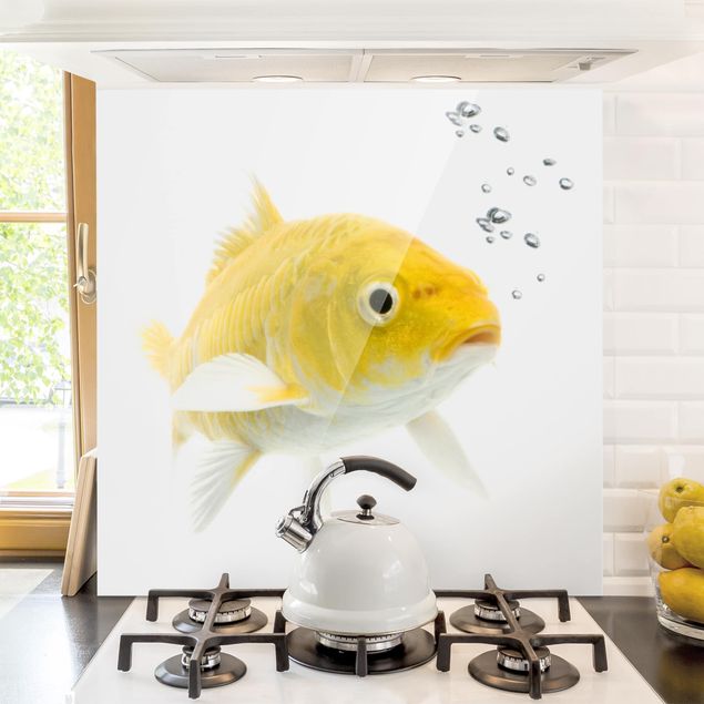 Decoración en la cocina Goldfish Yellow