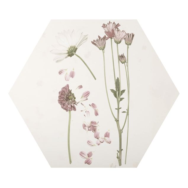 Cuadros modernos Herbarium In Pink II