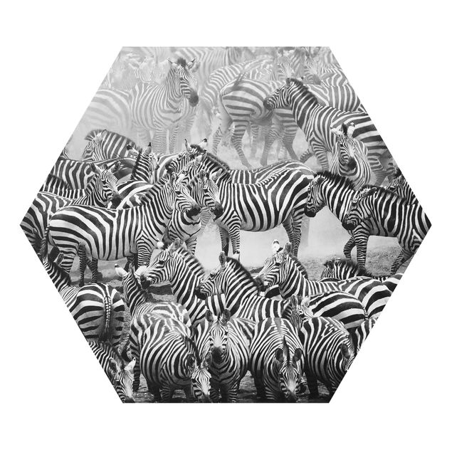 Cuadros infantiles animales Zebra herd II