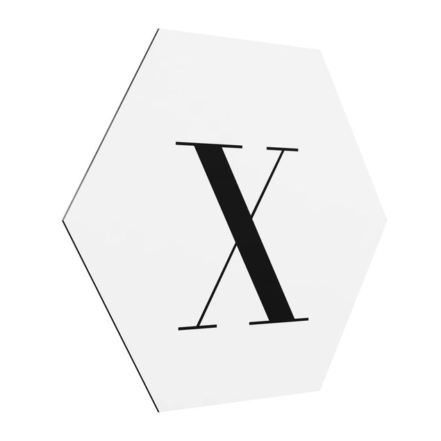 Cuadros modernos y elegantes Letter Serif White X