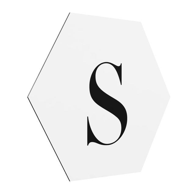 Cuadros modernos Letter Serif White S