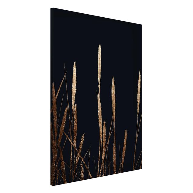Decoración cocina Graphical Plant World - Golden Reed