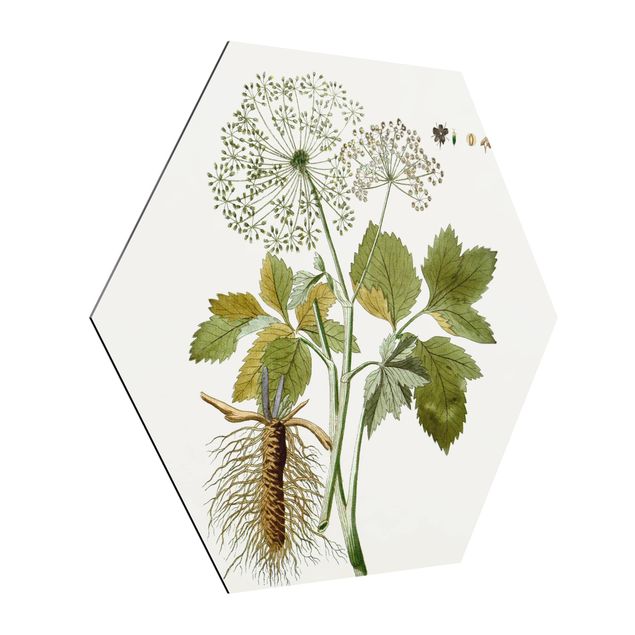 Cuadros modernos Wild Herbs Board IV