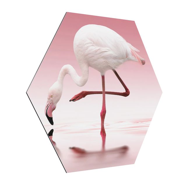 Cuadros decorativos modernos Flamingo Dance