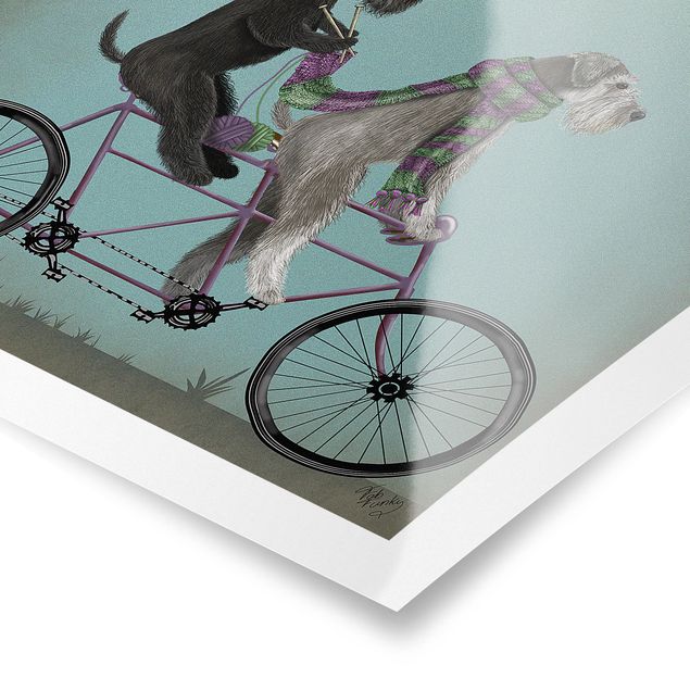 Láminas animales Cycling - Schnauzer Tandem