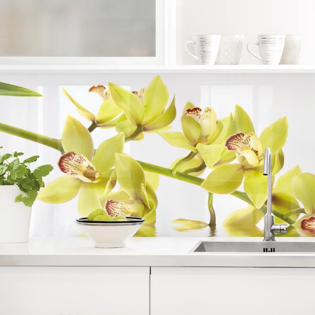 Decoración de cocinas Elegant Orchid Waters